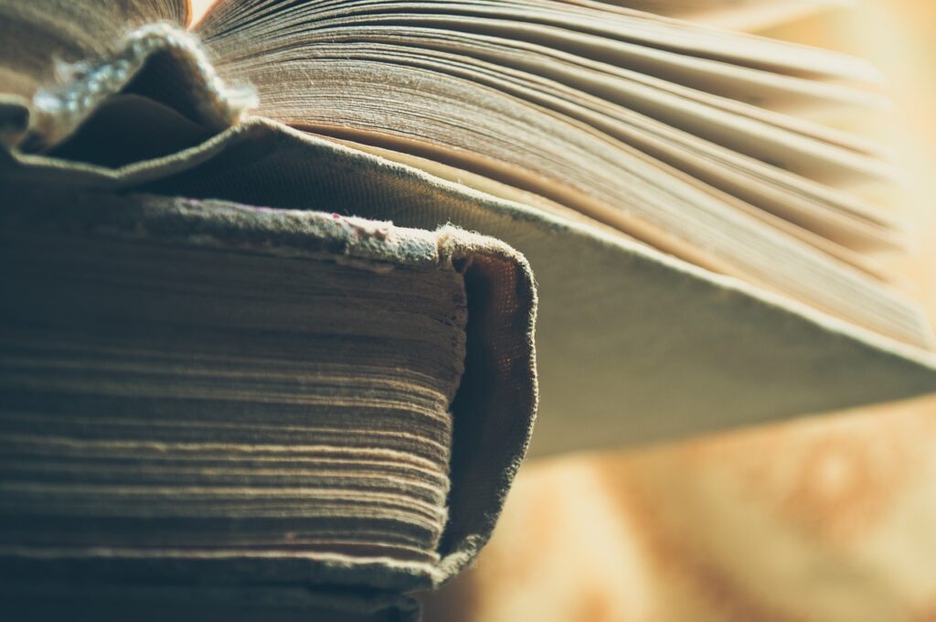 Pages of an open book fanned out in soft light